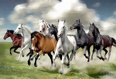 horse 8.
